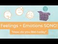 Feelings and emotions song for kids and students