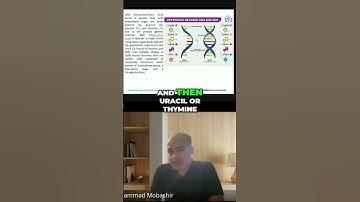 DNA vs RNA  Key Differences Explained Simply #videos #education #biology #video #neet #science
