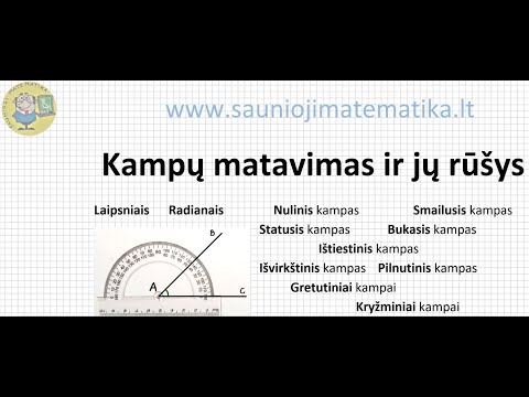 Video: Kaip mokslininkai apibrėžia rūšį?