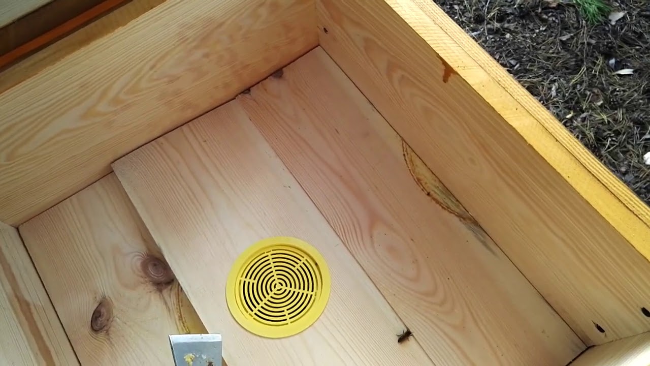 Pasieka Bartnik - To jeszcze nie koniec....