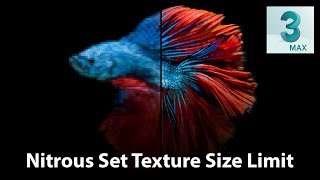 Nitrous Set Texture Size Limit in 3dsMax