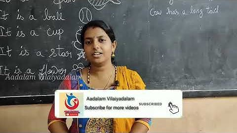 1st STD ENGLISH ( GRAMMAR )