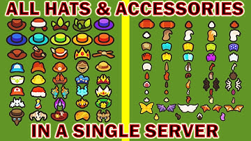 Taming.io - Obtaining All Hats & Accessories in a Single Server (Taming.io Challenge)