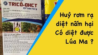 Nấm Trichoderma Và Những Công Dụng Mà Nhiều Bà Con Chưa Biết.