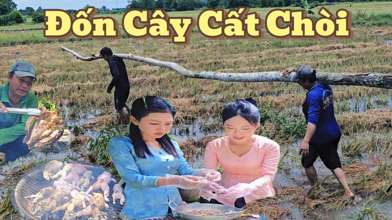 Đốn Cây Xây Chòi 