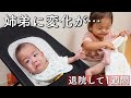 【退院から1週間】ダウン症3歳姉と弟の距離感が予想外でした…【超低出生体重児】