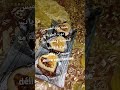لتسجيل في الفوج 3 ماعليكم غير تتواصلو معيا في الخاص ماسنجر ومرحبا بيكم