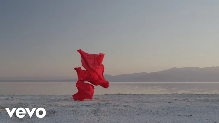 Julianna Barwick - In Light ft. Jnsi (Official Vid...