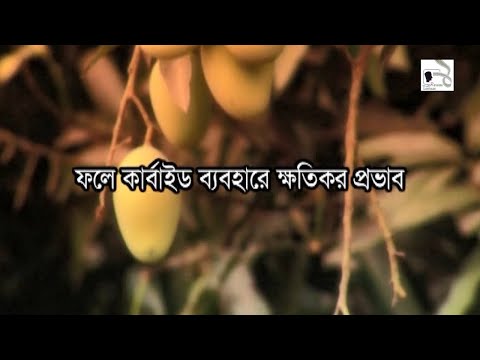 ভিডিও: ফল পাকাতে ইথিলিনের প্রভাব কী?