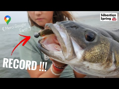 Vidéo: Meilleurs spots de pêche en Arkansas