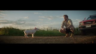 Be Their Hero: Cute Pig TV Commercial - Part 1