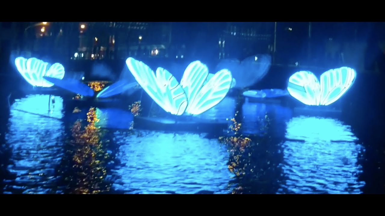 Amsterdam Light Festival🇳🇱 Private table cruise from YouTube