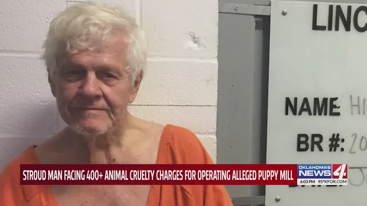 Stroud man facing 400+ animal cruelty charges for operating alleged ...