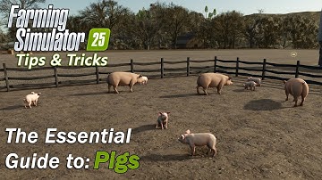 The Essential Guide to Pigs in Farming Simulator 25