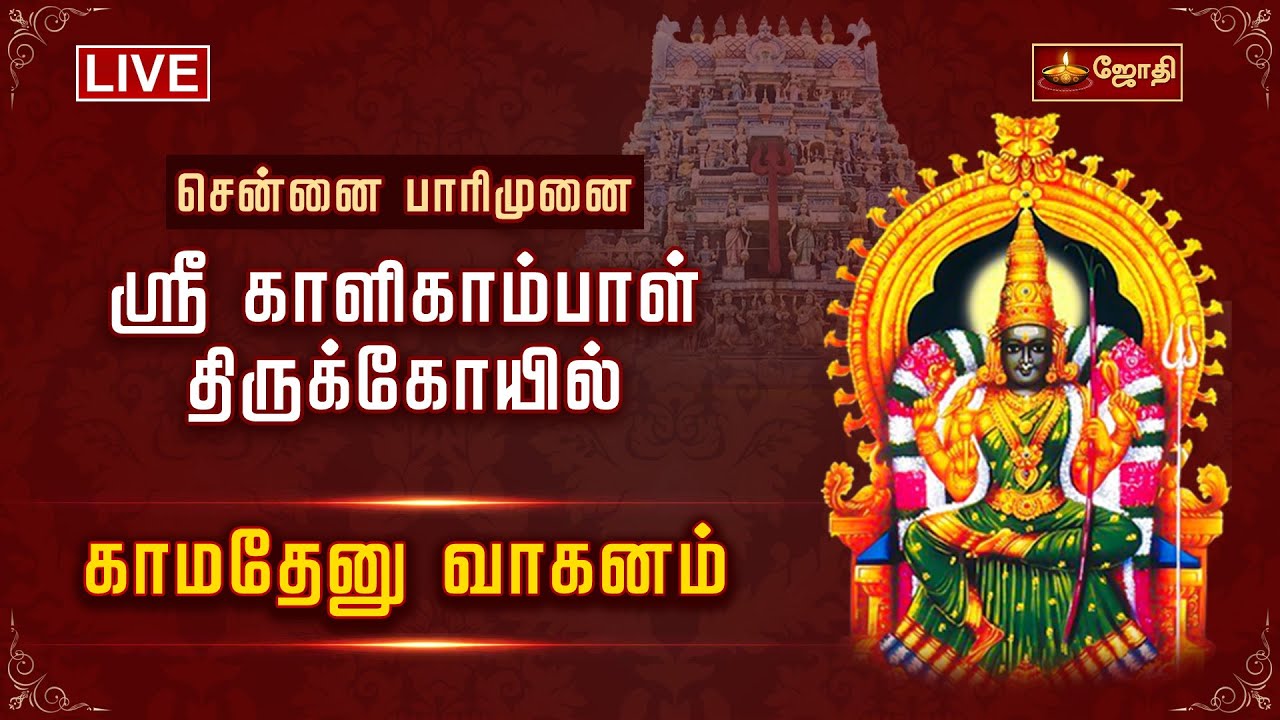 🔴LIVE: சென்னை பாரிமுனை ஸ்ரீ காளிகாம்பாள் திருக்கோயில் - காமதேனு வாகனம் | Jothitv