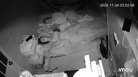 Rắn độc gần 2m bò sát mép đệm lúc rạng sáng ở TPHCM, mẹ trẻ bình tĩnh xử lý