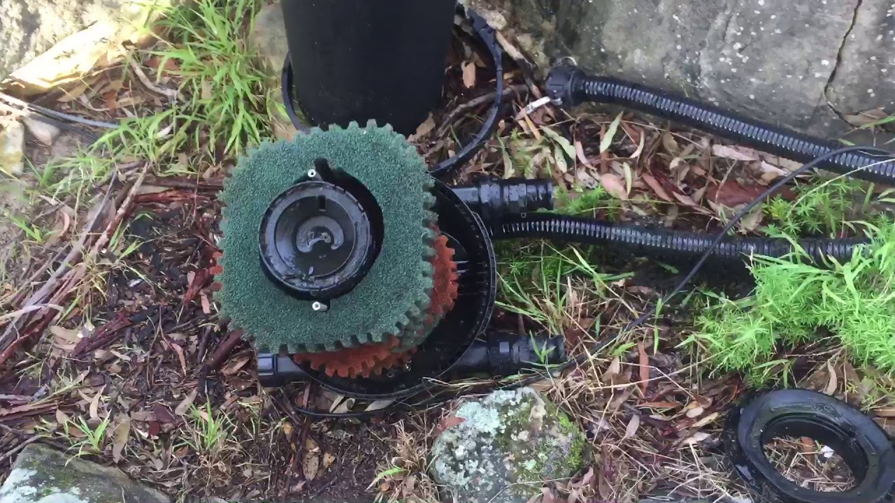 Pond filter sponges need replacing over time YouTube