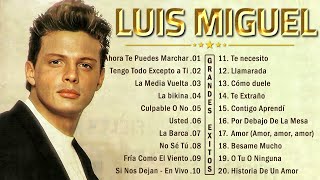 Luis Miguel 90s Sus Exitos Romanticos | Mejores Canciones | Clásicos Inolvidables que Enamoran