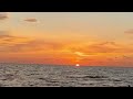 Lullaby 🌴 [Deep Chill House + Techno Fusion]  Raw Eliz