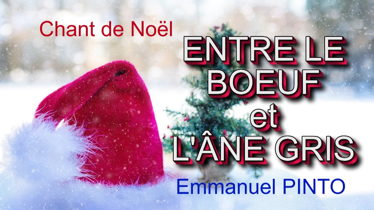 ENTRE LE BOEUF ET L'ÂNE GRIS - Chant de Noël - V.M.058 - YouTube