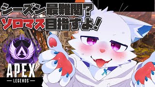 【Apex】S20ソロマスターチャレンジ8日目【旅猫シロ/ケモノVtuber】