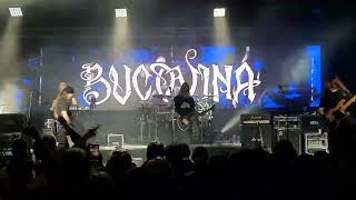 Bucovina - Folc hevi blec