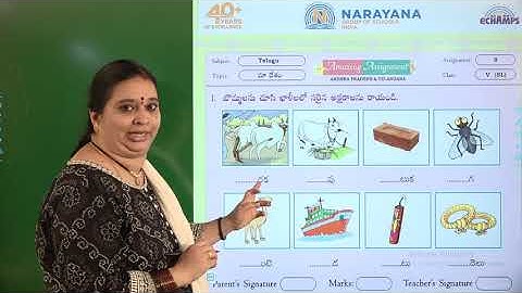 6TH AUG AP CLASS V SL TELUGU ASSIGNMENT KEY