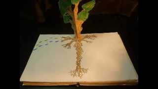 Siempre estuviste ahí - Libro - Técnica Stop Motion