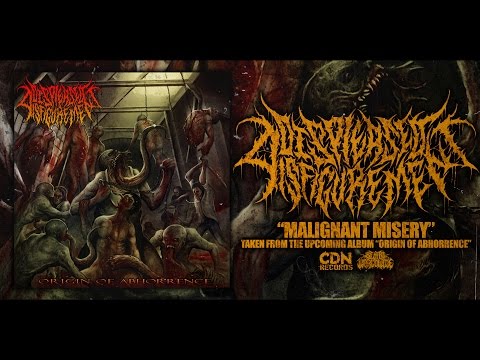 DISPLEASED DISFIGUREMENT - MALIGNANT MISERY [SINGLE] (2017) SW EXCLUSIVE