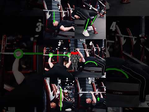 ضغط مستوي   بناء اجسام فورمة تمرين   صدر بار بنش   