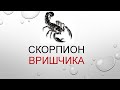 Характеристики знака Скорпиона - презентация Татьяны