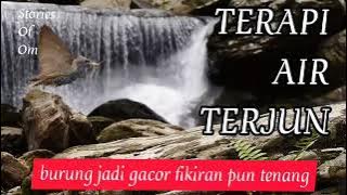 TERAPI AIR TERJUN burung pasti gacor FIKIRAN TENANG || Masteran || @stories of om dwi