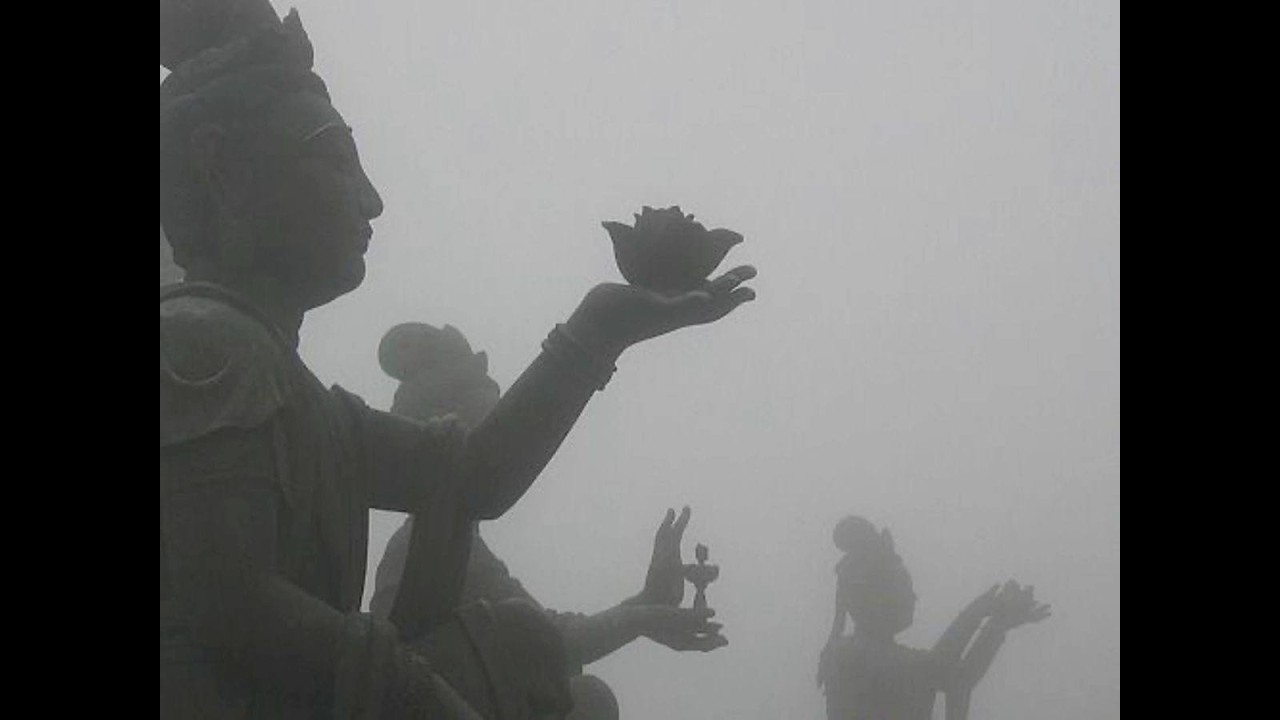 [free for profit] colormusic + trancex type beat 