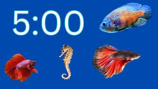 5 Minute Timer | Fish