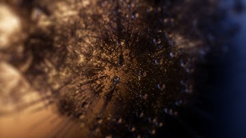 Grove Cradle: Venice Biennale 01