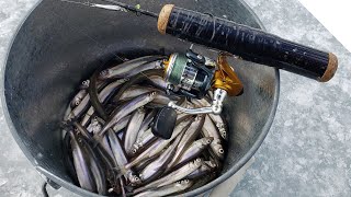 Ice Fishing For Smelts - Jigging Tips for Catching Smelts