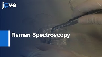 Non-contact, Label-Free Monitoring: Cells & Extracellular Matrix l Protocol Preview