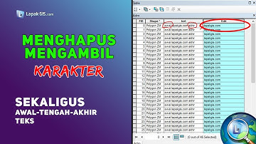 Menghapus Sekaligus Beberapa Karakter di Attribut Tabel pada Arcgis