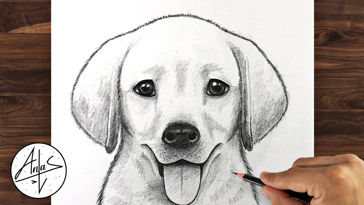 Check out this easy way to draw a puppy! #drawingtutorial #howtodrawa... |  TikTok