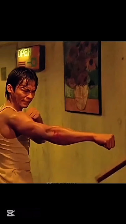 best fight of Tony Jaa | martial arts | tony jaa