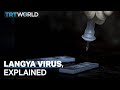 What is the newly identified Langya virus