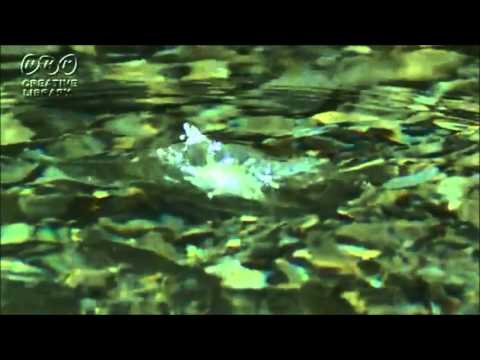 波紋～HAMON～　Ripple　Original composition