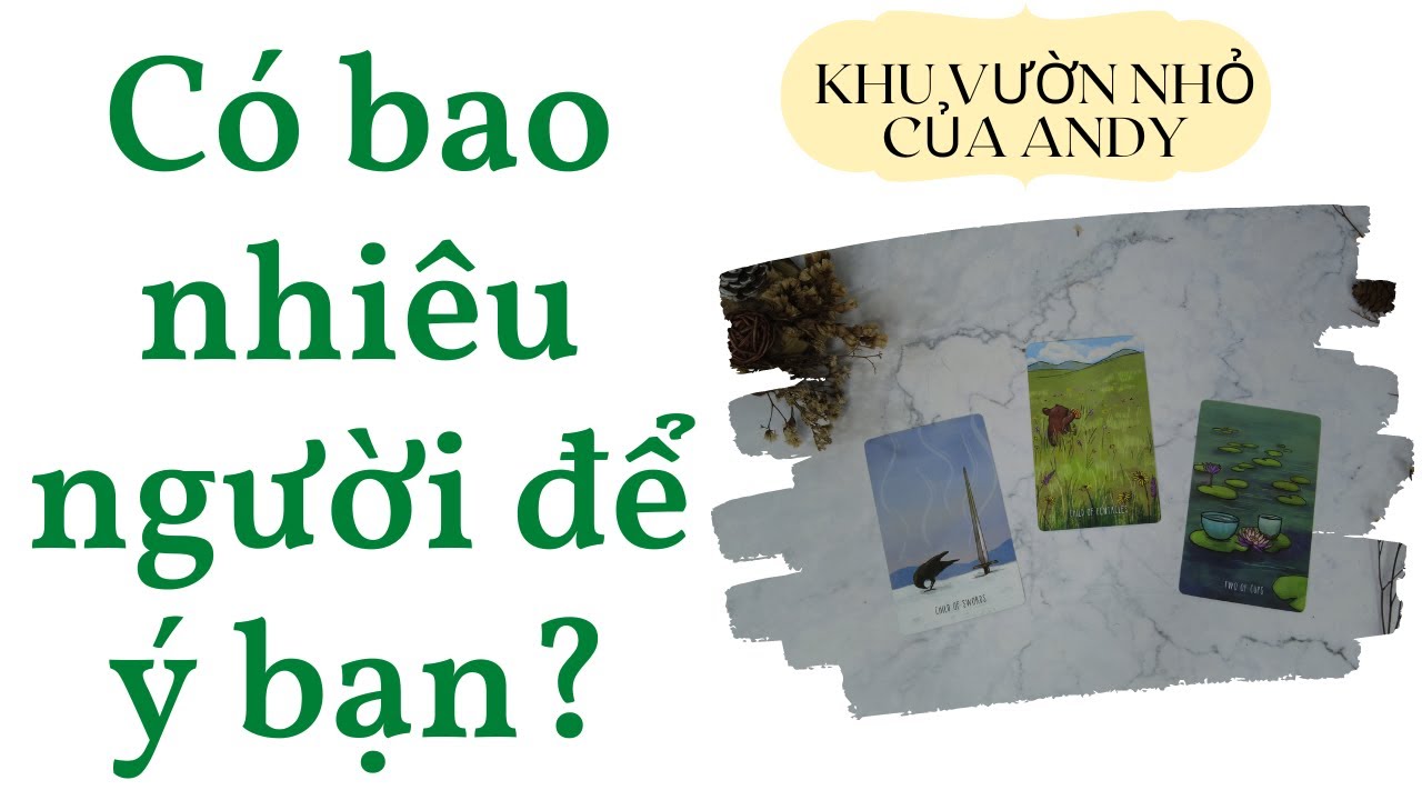 Chọn 1 tụ bài Tarot - Có bao nhiêu người để ý bạn?  - Alo Andy