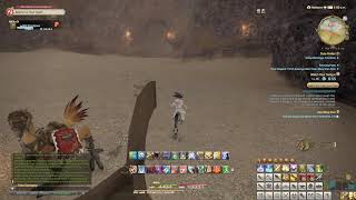 FFXIV - Sea Wasp Run