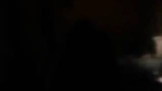 Canimals The Complete Series S3 E20 Guardians Of The Christmas Presents Christmas Special