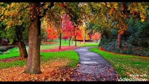 ( أفحسبتم أنما خلقناكم عبثا)/ القارئ إبراهيم بن محمود جَلُّو الغِينِيِّIbrahim ibn Mahmoud Diallo