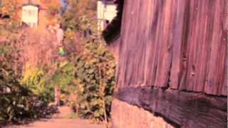 ROOTS BY NATURE - feat Anayah Roots Strength of a Woman