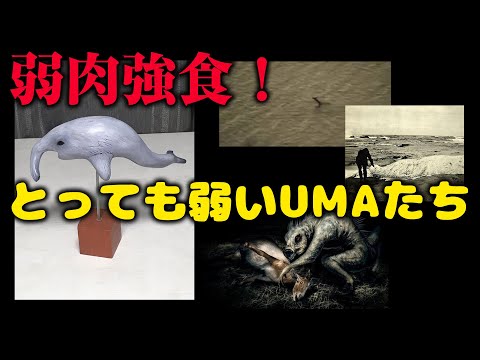 UMA(未知動物) UMA(未知動物) Amazon.co.jp: 未確認動物UMAの謎 珍獣奇獣編