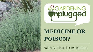 Gardening Unplugged -  Medicinal plants or deadly poison With plant expert Dr. Patrick McMillan