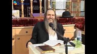 הרב שלום ארוש | הכבוד האמיתי | הקליפ המלא